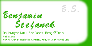 benjamin stefanek business card